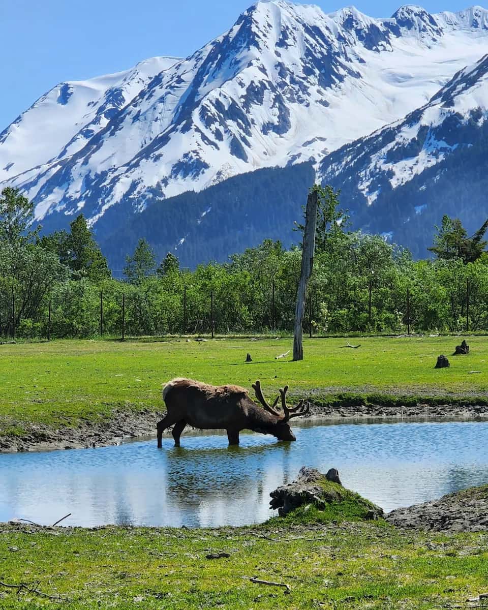 Cook Inlet, Alaska Cook Inlet, Alaska