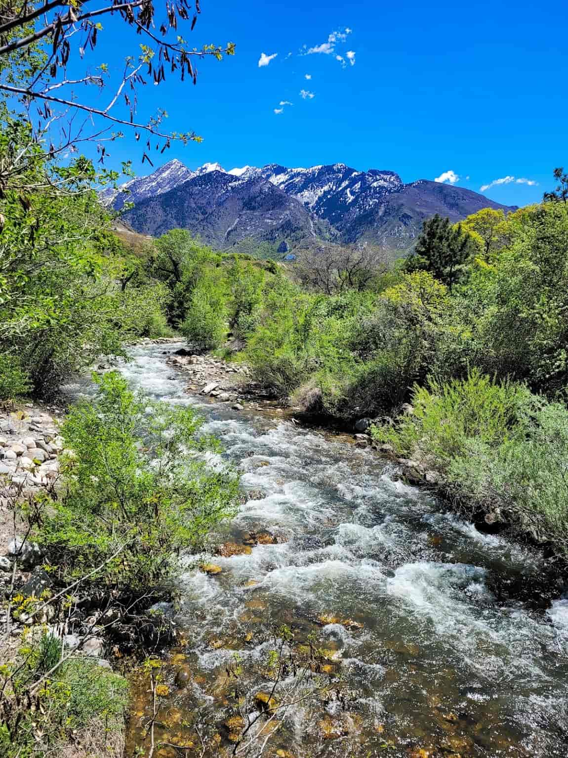 Cottonwood Heights, Salt Lake City Cottonwood Heights, Salt Lake City
