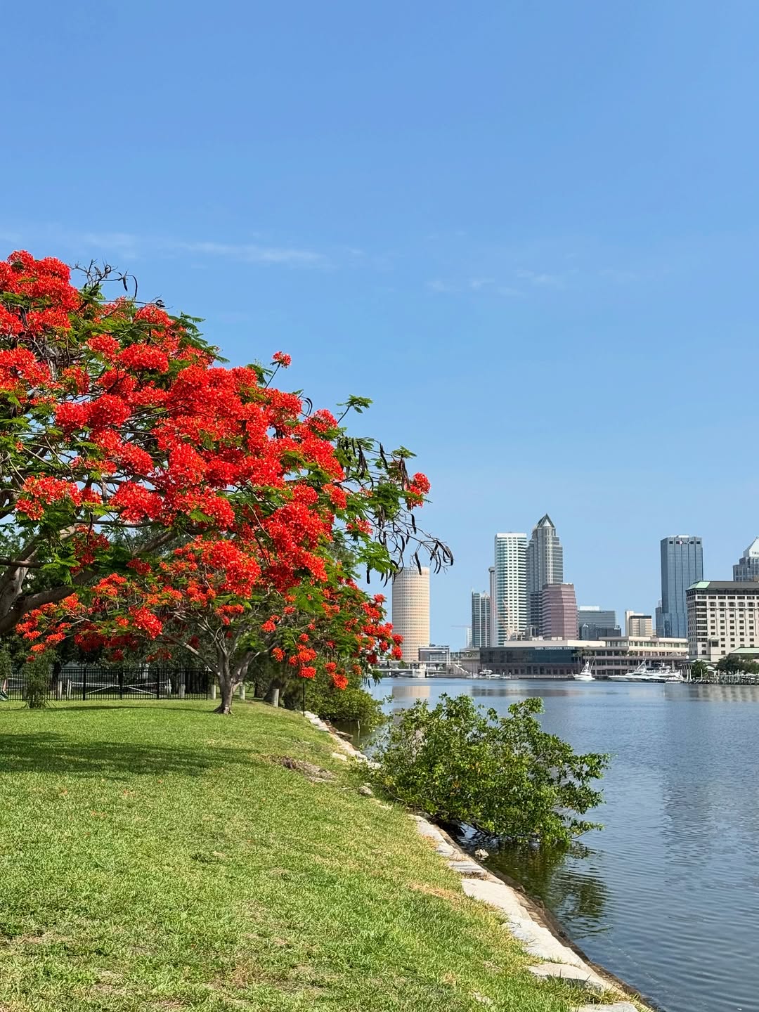Davis Islands, Tampa Davis Islands, Tampa
