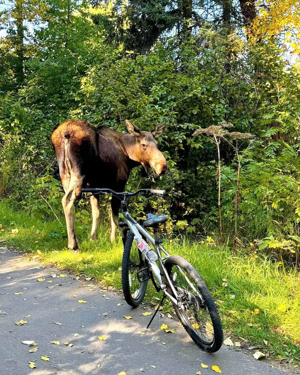 Earthquake Park, Alaska Earthquake Park, Alaska