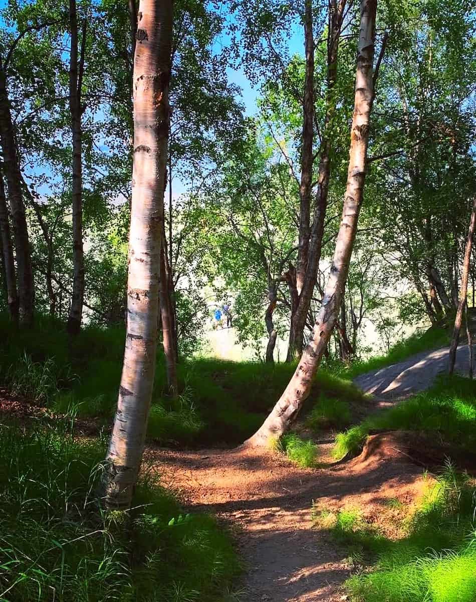 Earthquake Park, Alaska Earthquake Park, Alaska