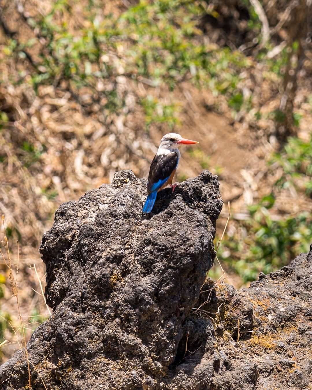 Fogo, Cape Verde Fogo, Cape Verde