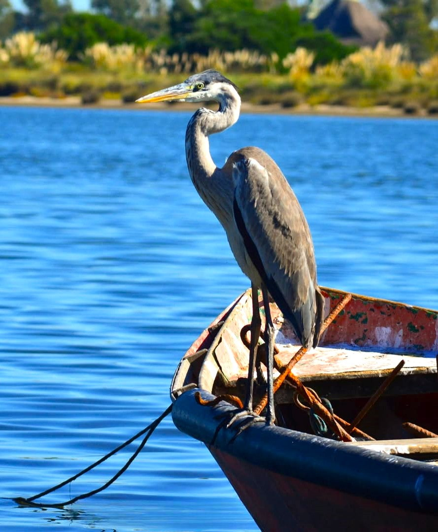 La Barra, Punta del Este La Barra, Punta del Este