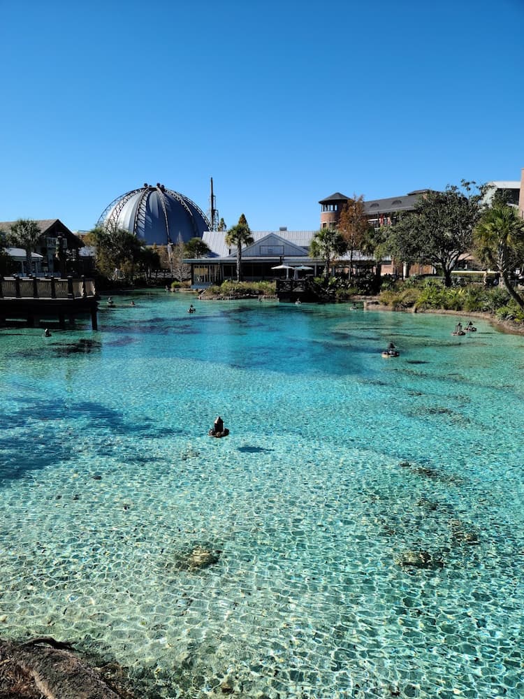 Lake Buena Vista, Orlando Lake Buena Vista, Orlando