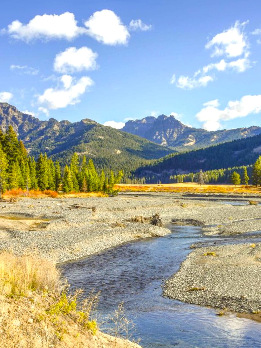 Lamar Valley, Gardiner Montana, Montana Lamar Valley, Gardiner Montana, Montana