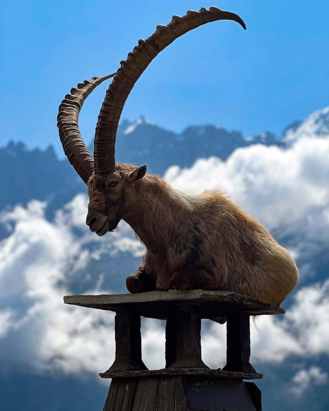 Les Houches, Chamonix Les Houches, Chamonix