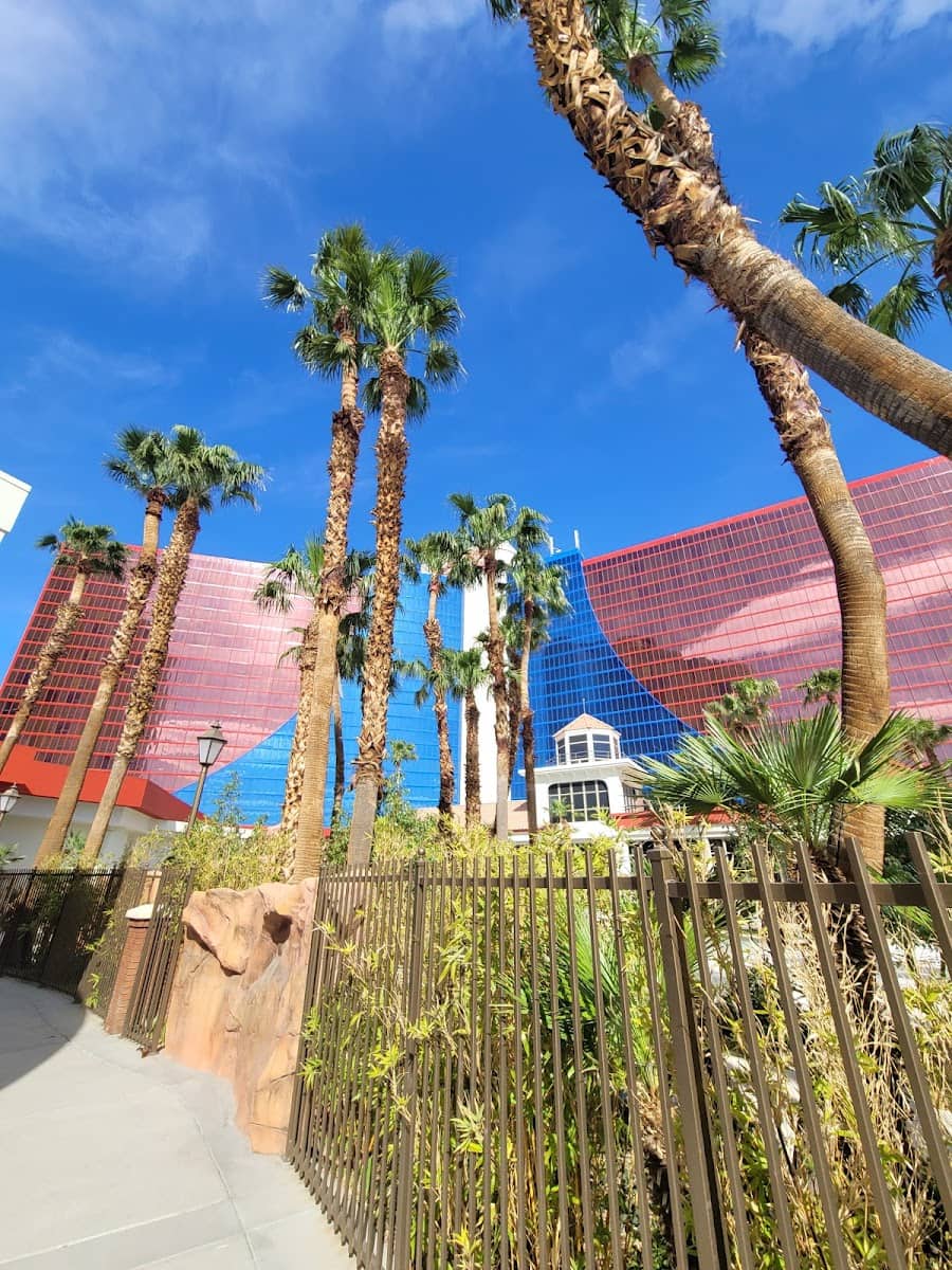 Libertad, Tijuana Libertad, Tijuana