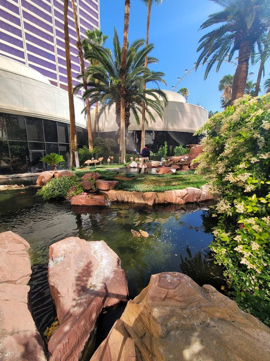 Libertad, Tijuana Libertad, Tijuana