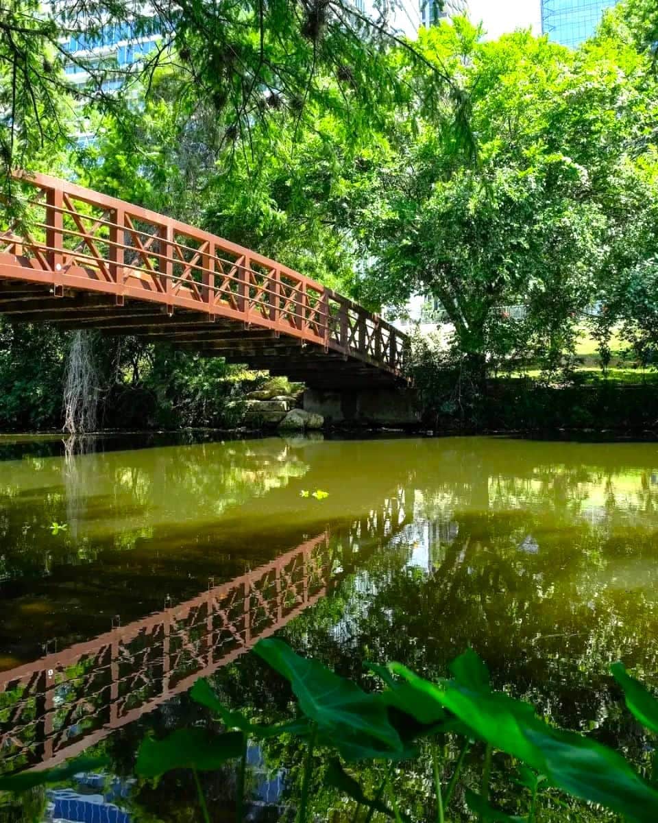 North Loop Austin North Loop Austin