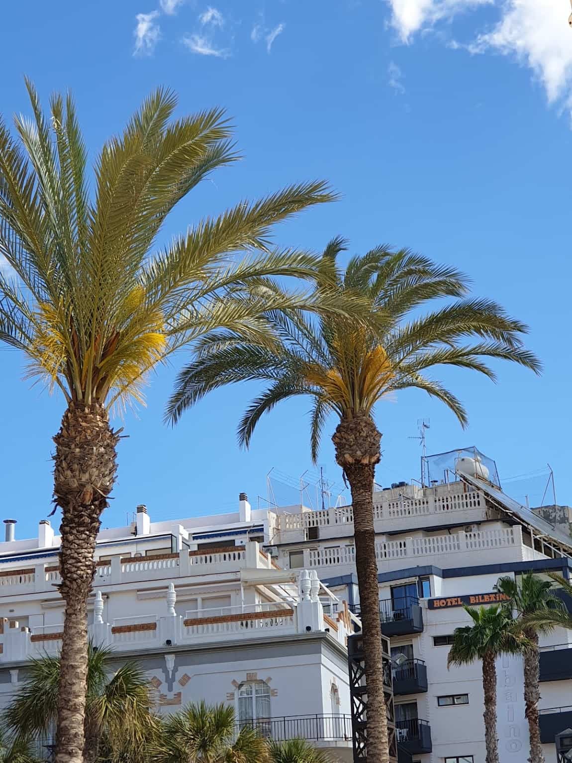 Old Town, Benidorm Old Town, Benidorm