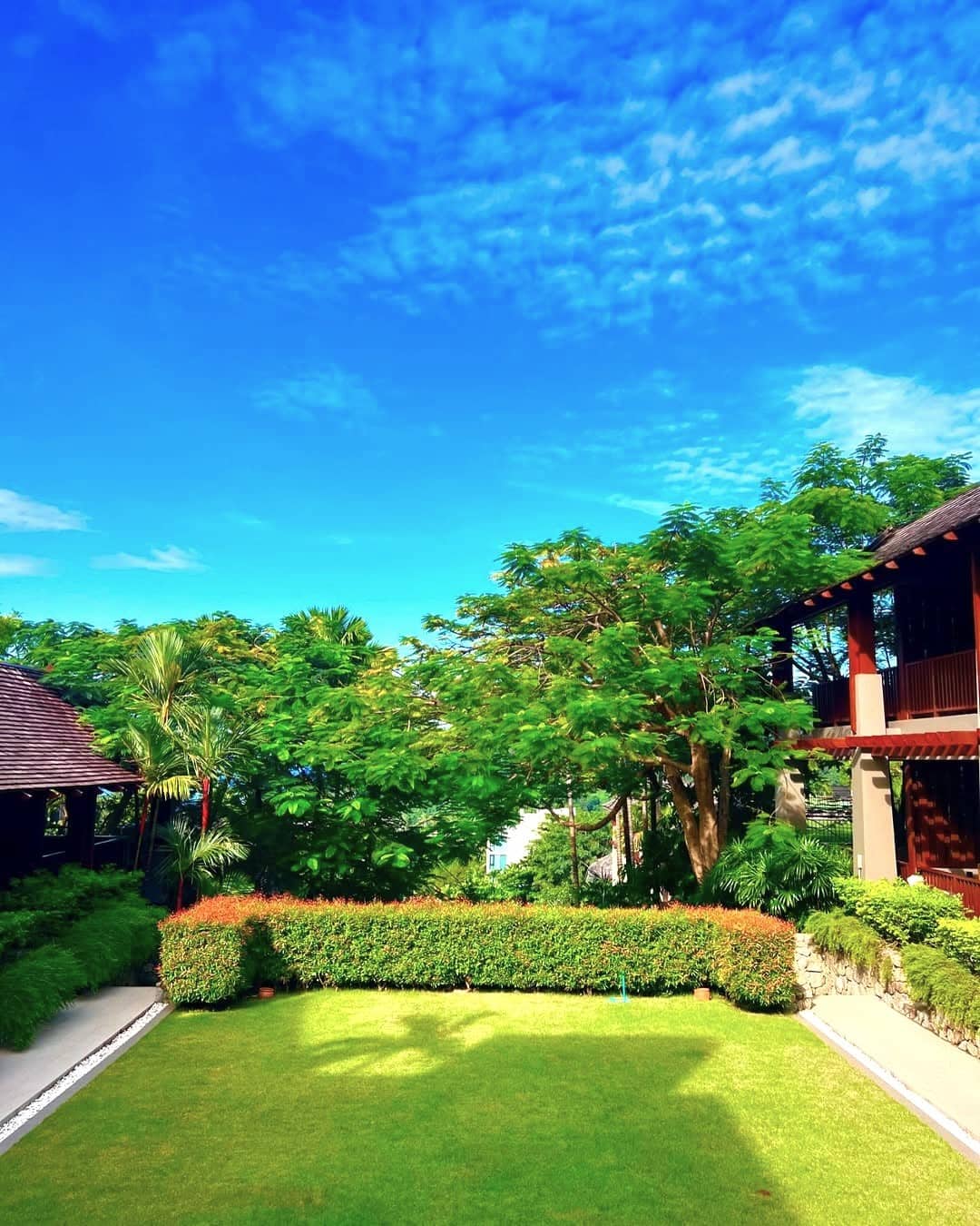 Patong Hills, Patong Patong Hills, Patong