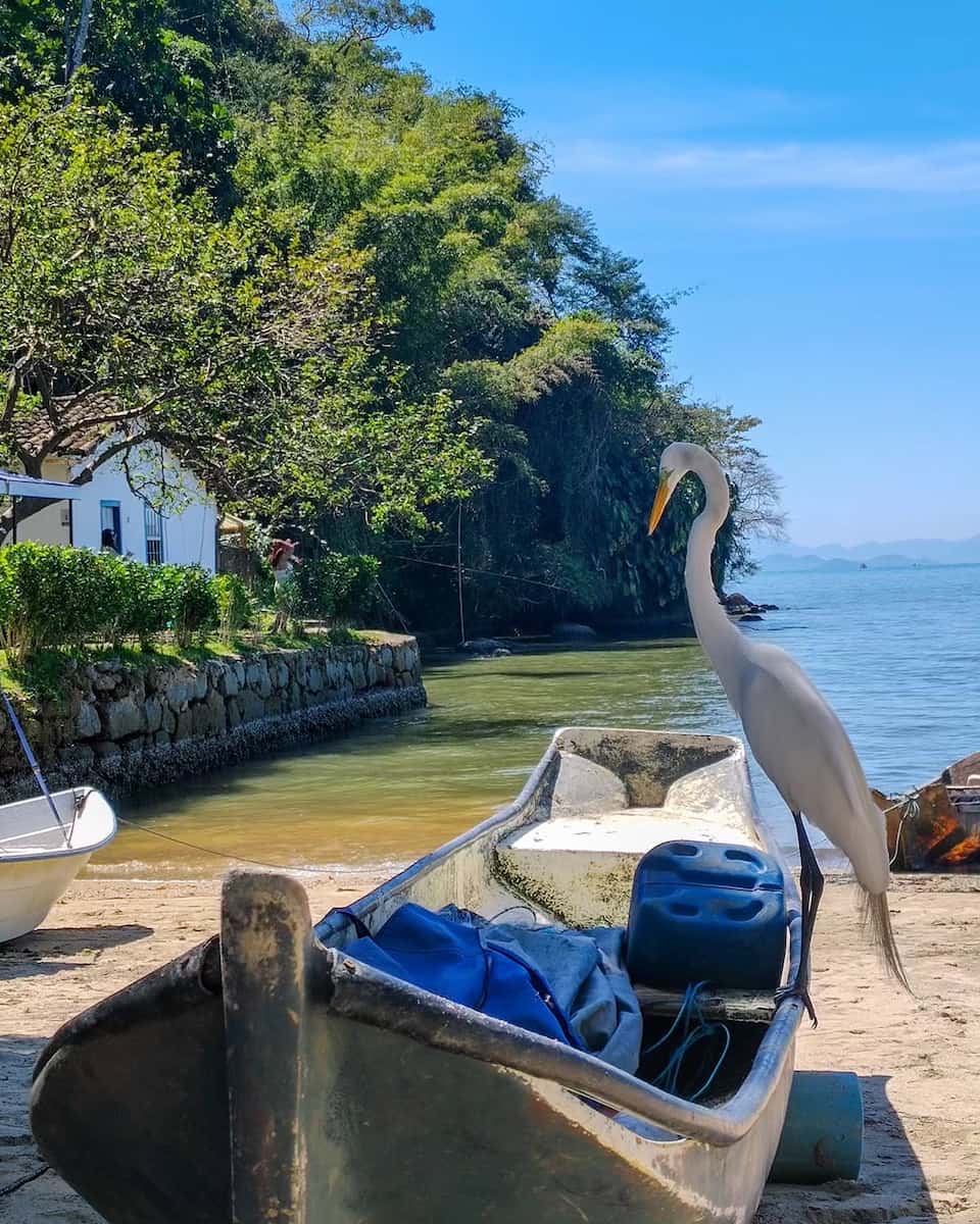 Pontal, Paraty Pontal, Paraty