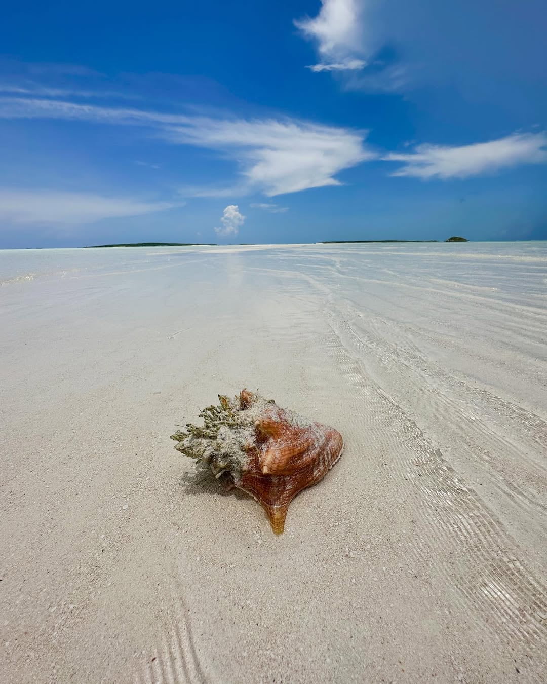 Rolleville, Exuma Rolleville, Exuma