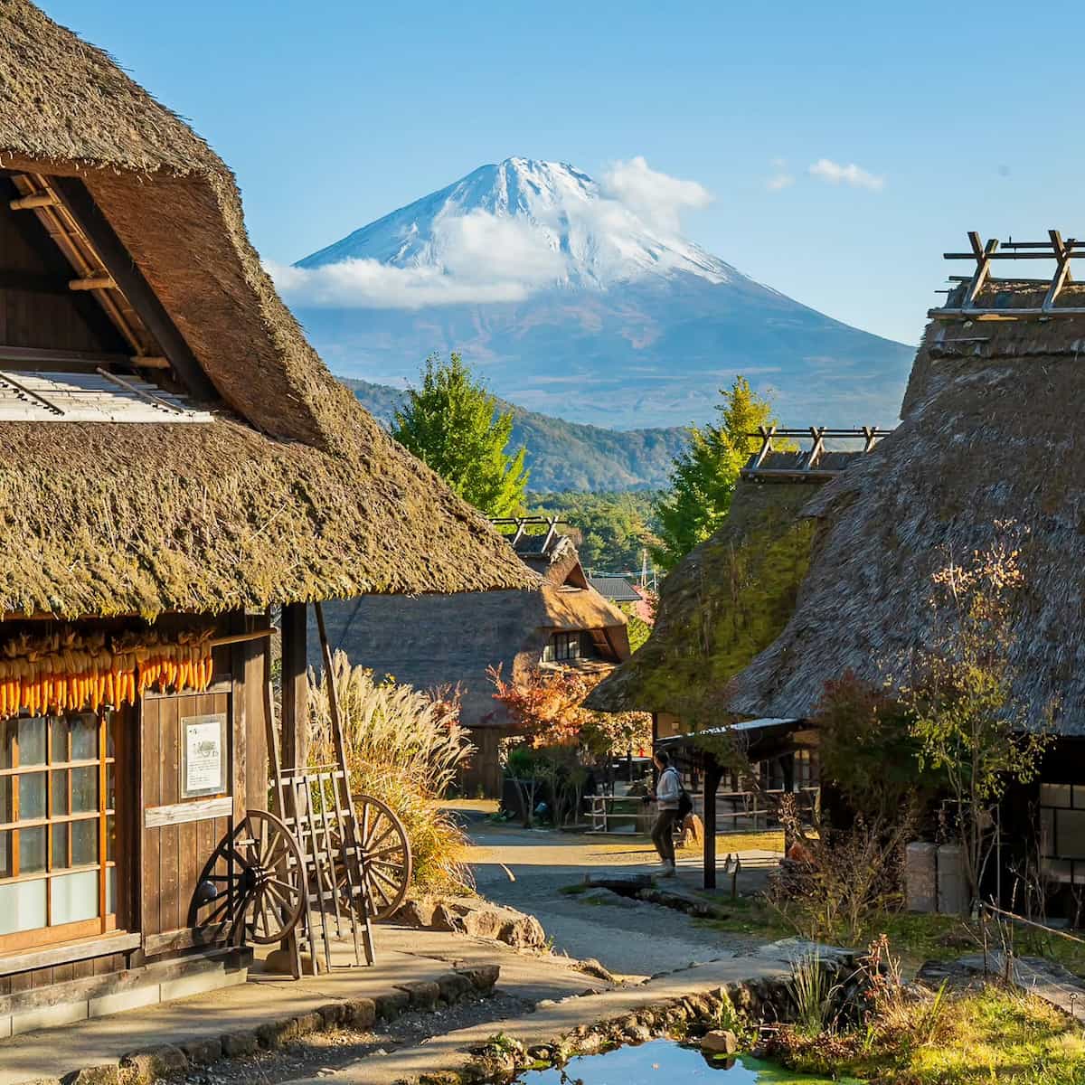 Saiko, Mount Fuji Saiko, Mount Fuji