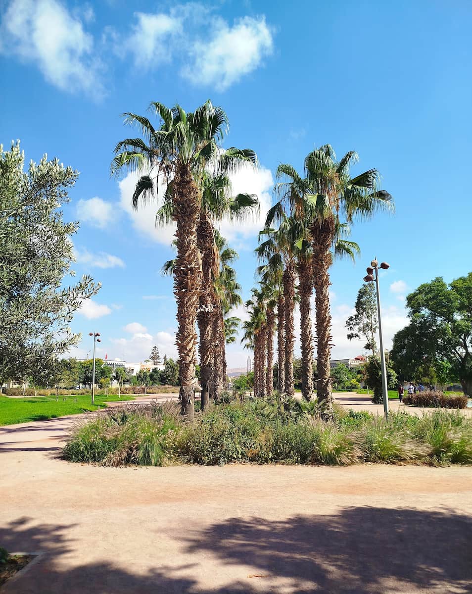 Salam District, Algadir Salam District, Algadir