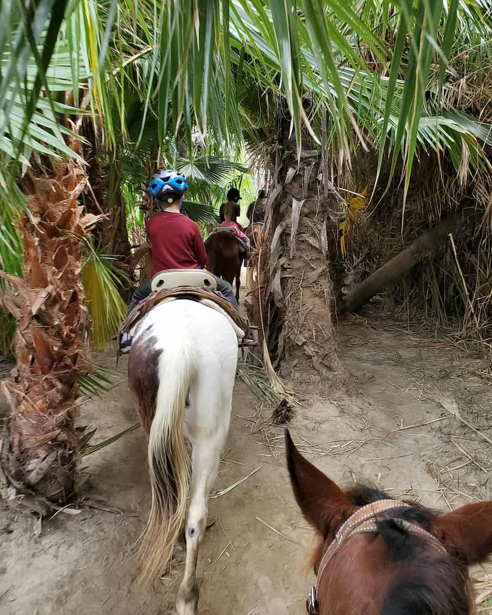 San José Estuary, Los Cabos San José Estuary, Los Cabos