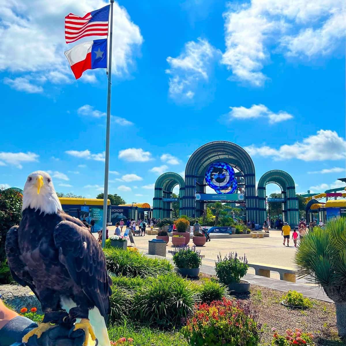 SeaWorld San Antonio SeaWorld San Antonio