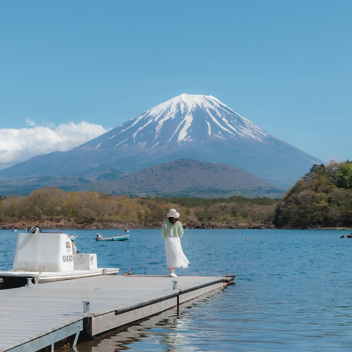 Shojiko, Mount Fuji Shojiko, Mount Fuji