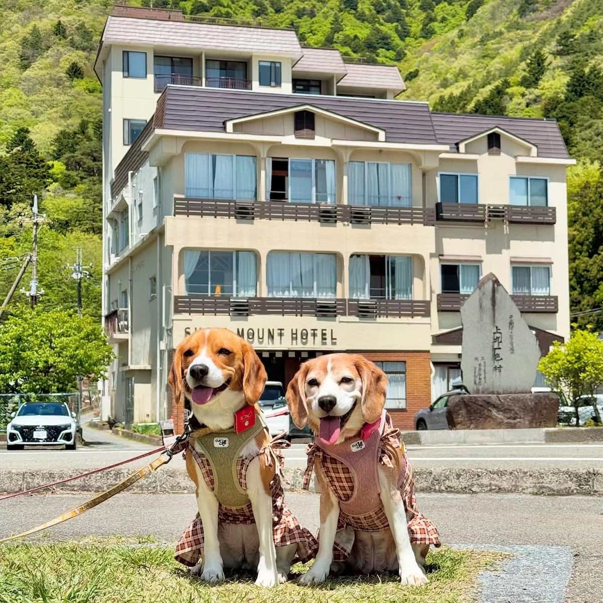 Shojiko, Mount Fuji Shojiko, Mount Fuji