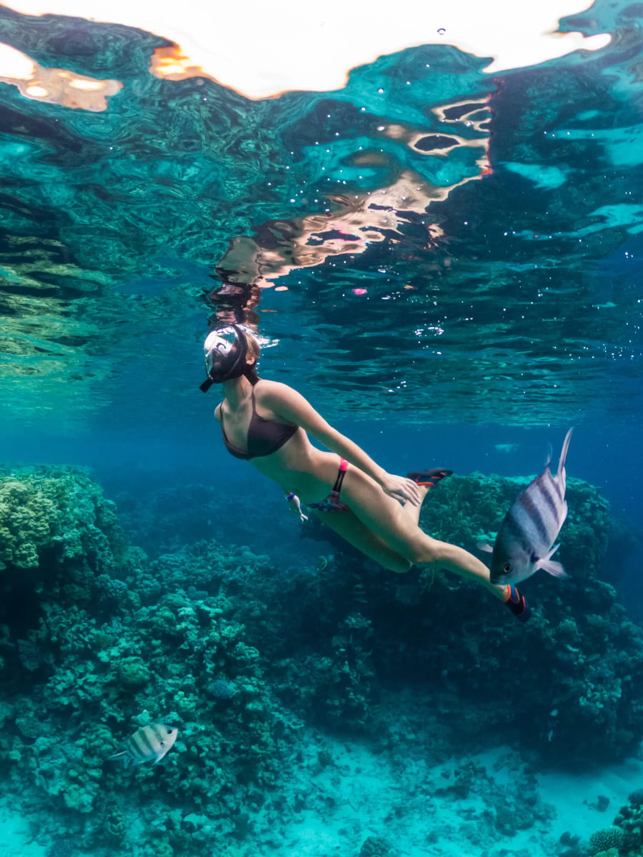 Snorkeling, Tayrona Park Snorkeling, Tayrona Park