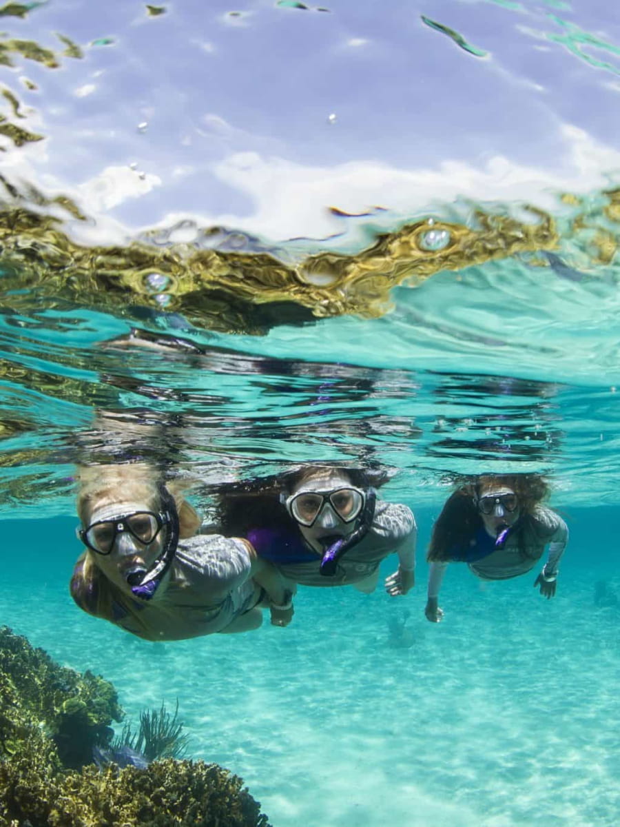 Snorkeling, Tayrona Park