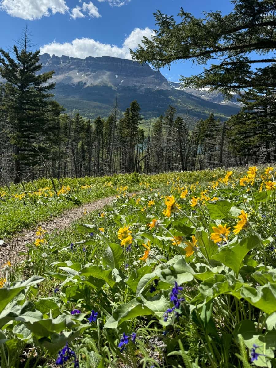 St Mary Montana, Montana St Mary Montana, Montana