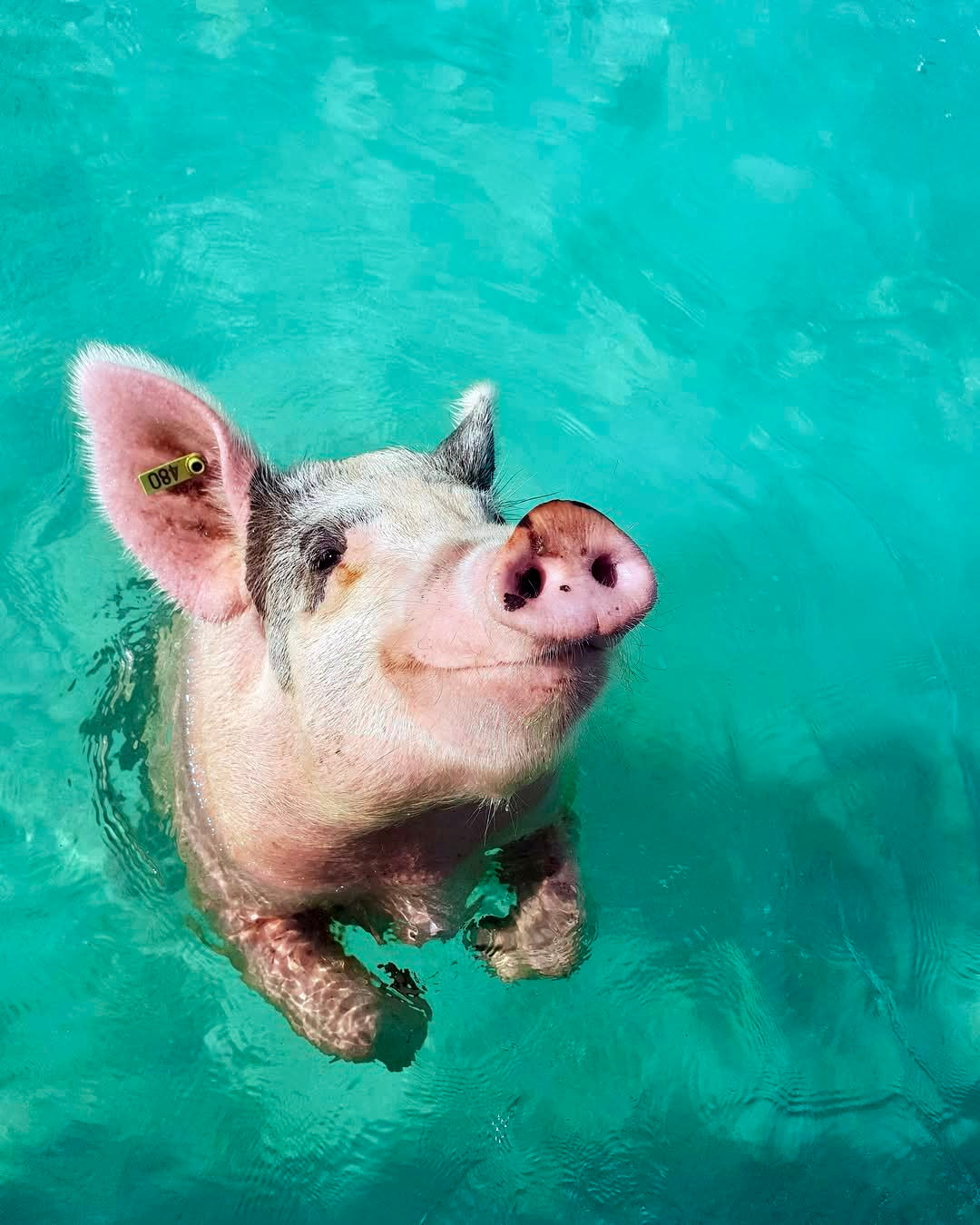 Staniel Cay, Exuma Staniel Cay, Exuma