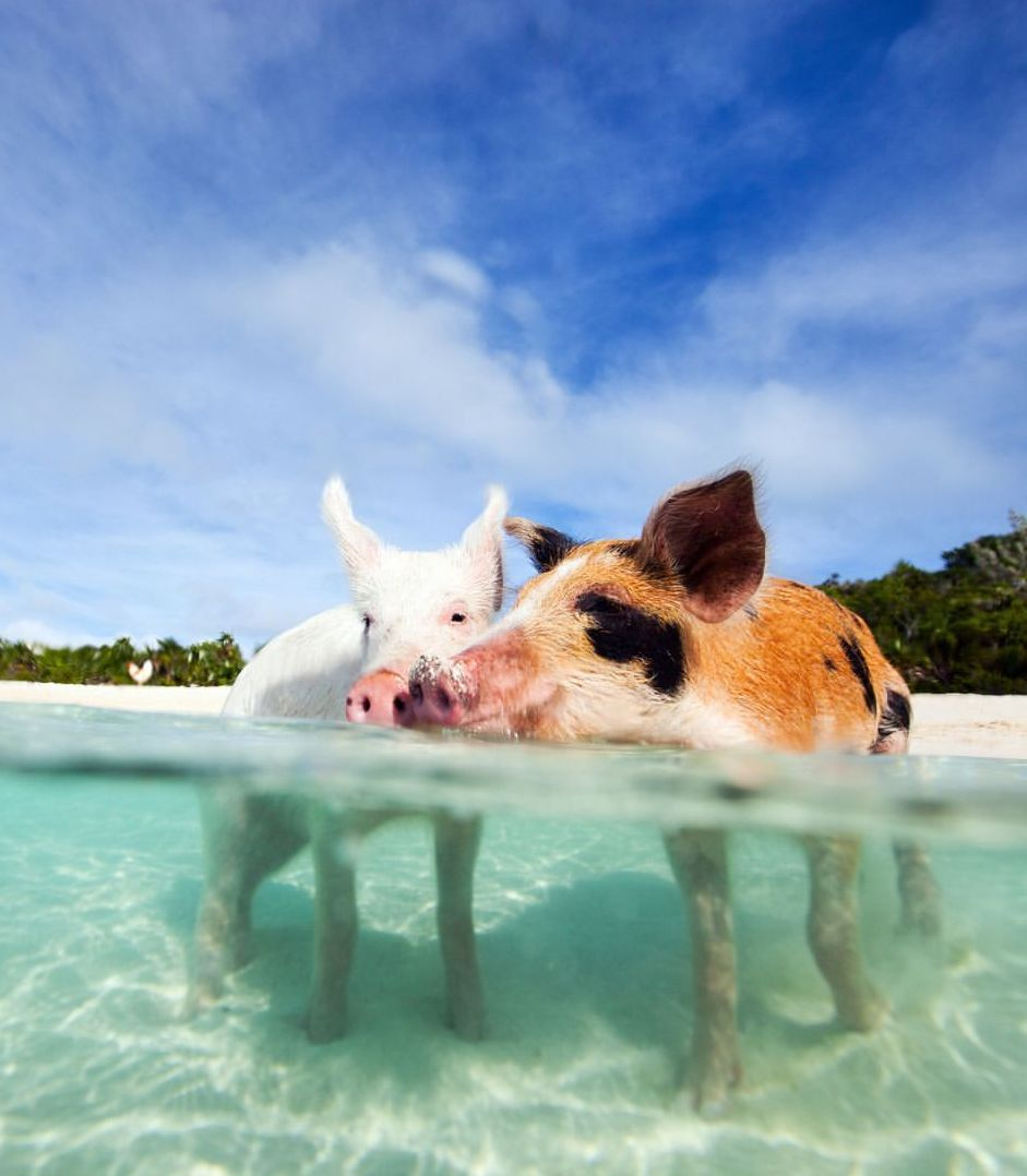 Staniel Cay, Exuma Staniel Cay, Exuma