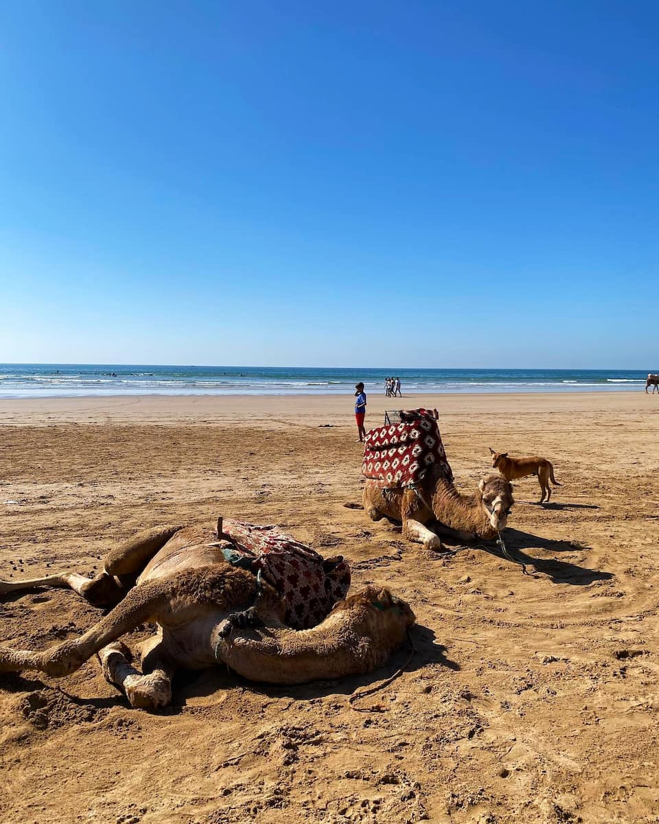 Taghazout, Morocco Taghazout, Morocco