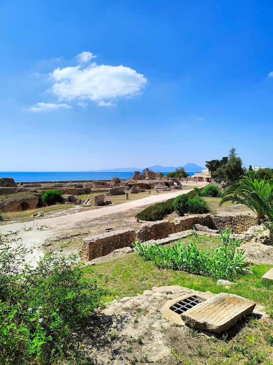The Baths of Antoninus, Tunis The Baths of Antoninus, Tunis