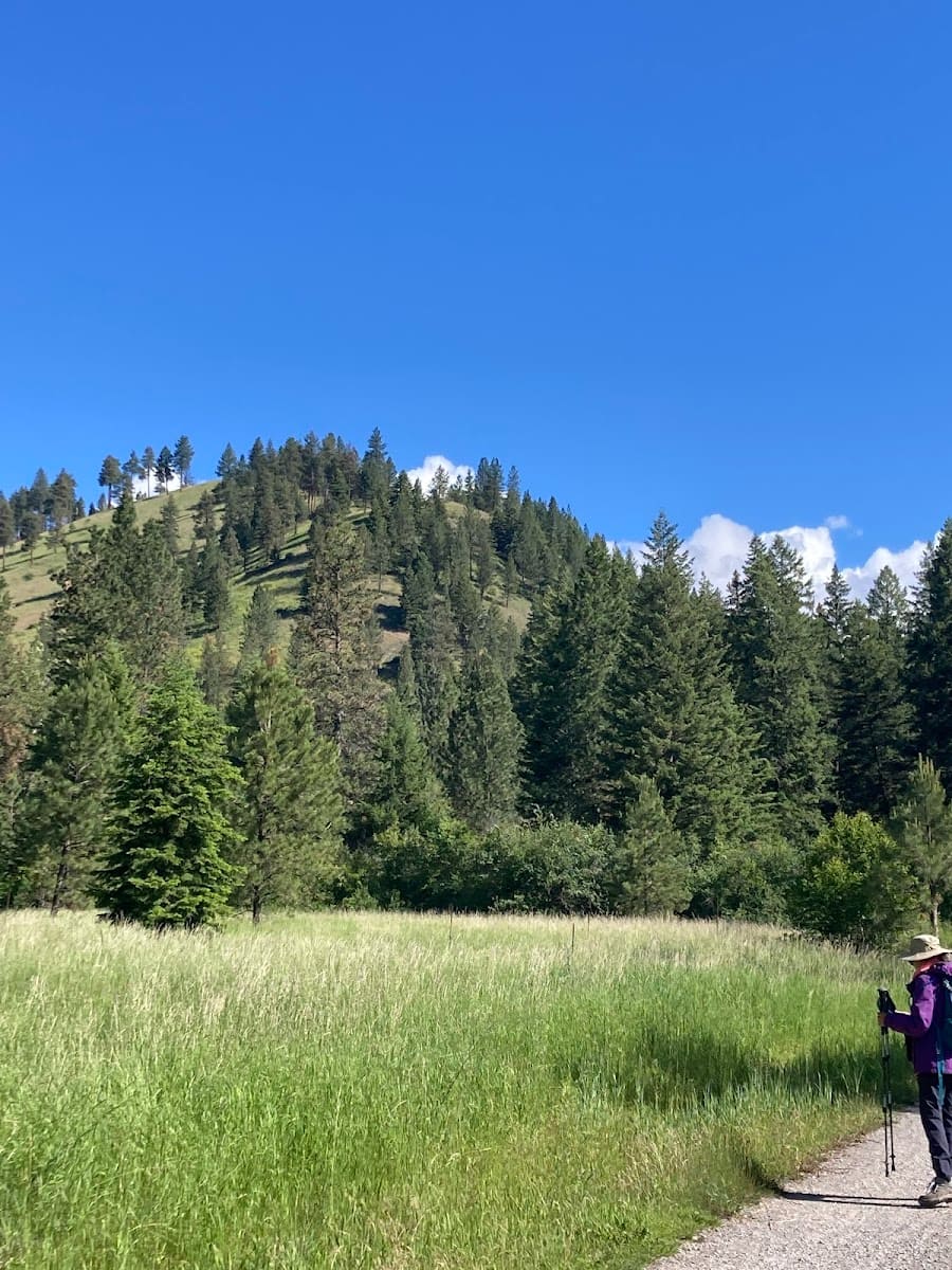The Rattlesnake National Recreation Area, Missoula Montana, Montana The Rattlesnake National Recreation Area, Missoula Montana, Montana