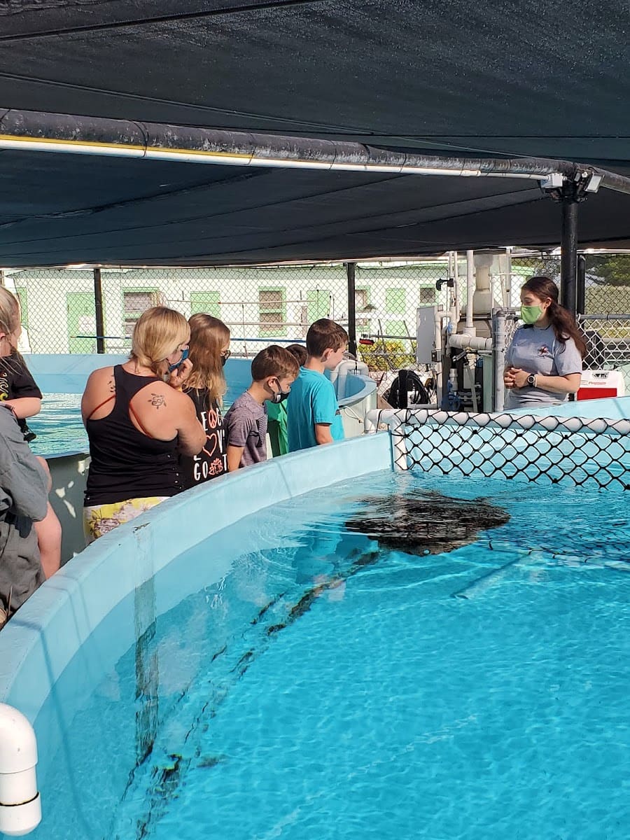 The Turtle Hospital, Florida Keys The Turtle Hospital, Florida Keys