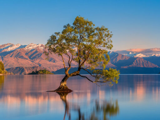 Wanaka