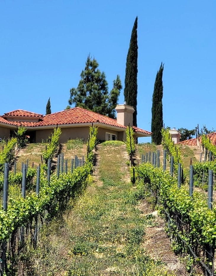 Wine Country, Temecula Valley Wine Country, Temecula Valley