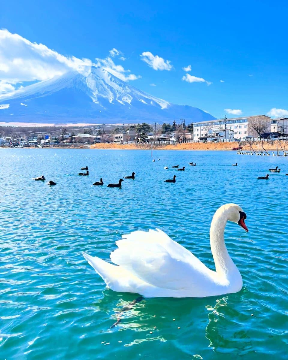 Yamanakako, Mount Fuji Yamanakako, Mount Fuji