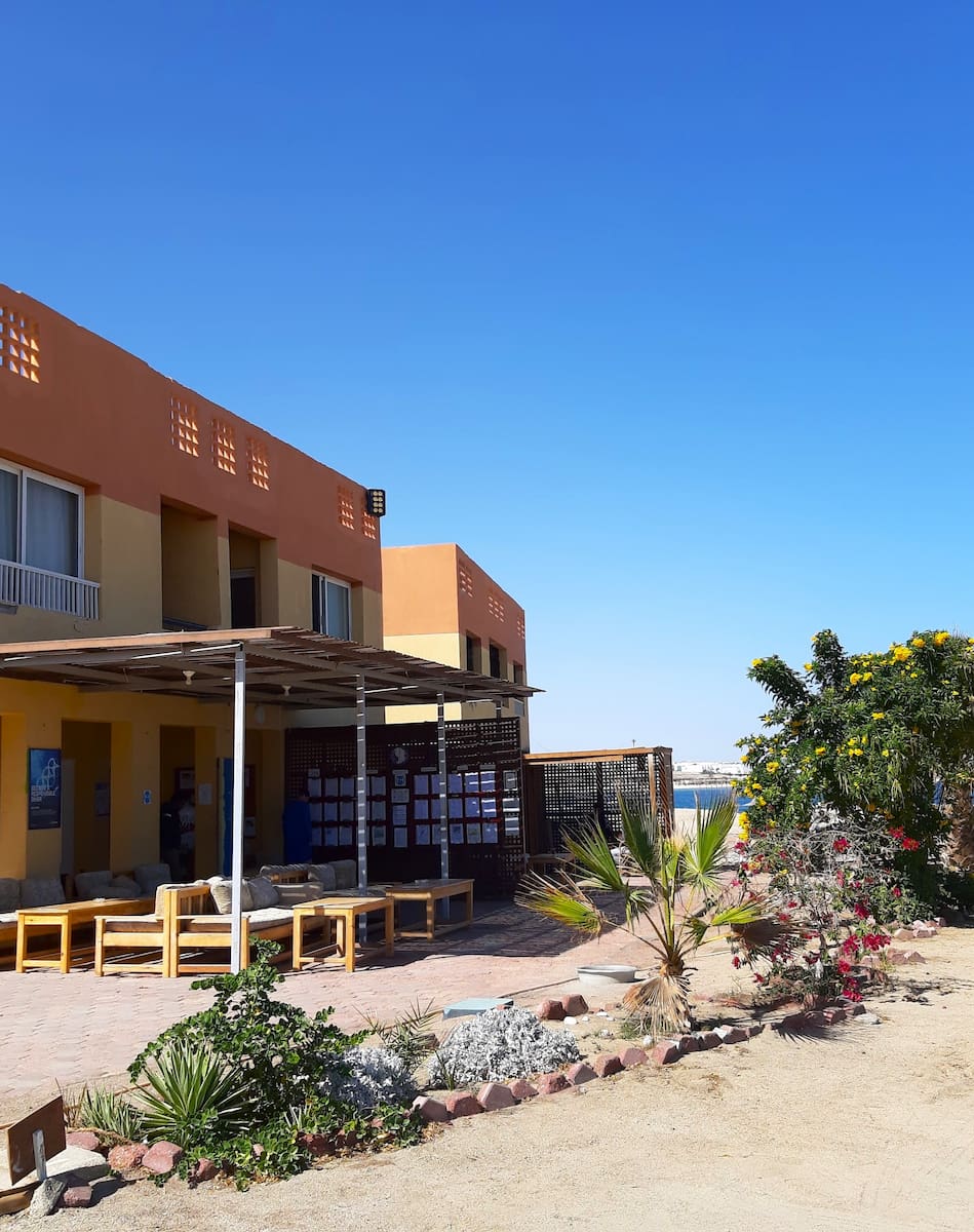 Abu Dabab Bay, Egypt Abu Dabab Bay, Egypt