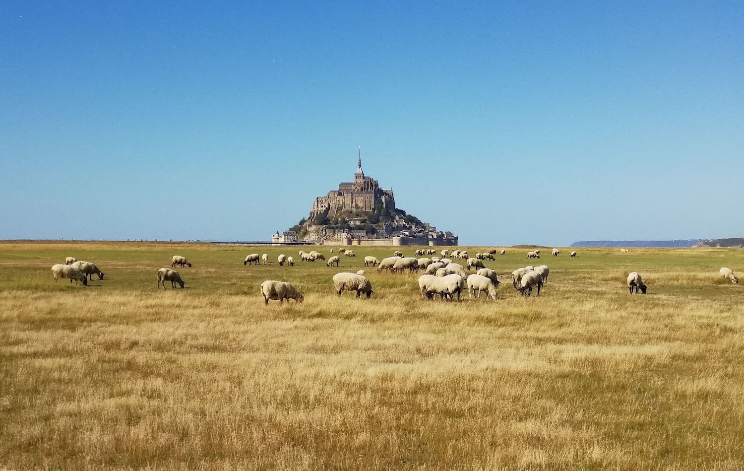 Ardevon, Mont Saint Michel Ardevon, Mont Saint Michel