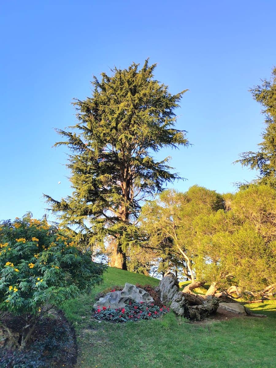 Castro Hill, Vigo, Spain Castro Hill, Vigo, Spain
