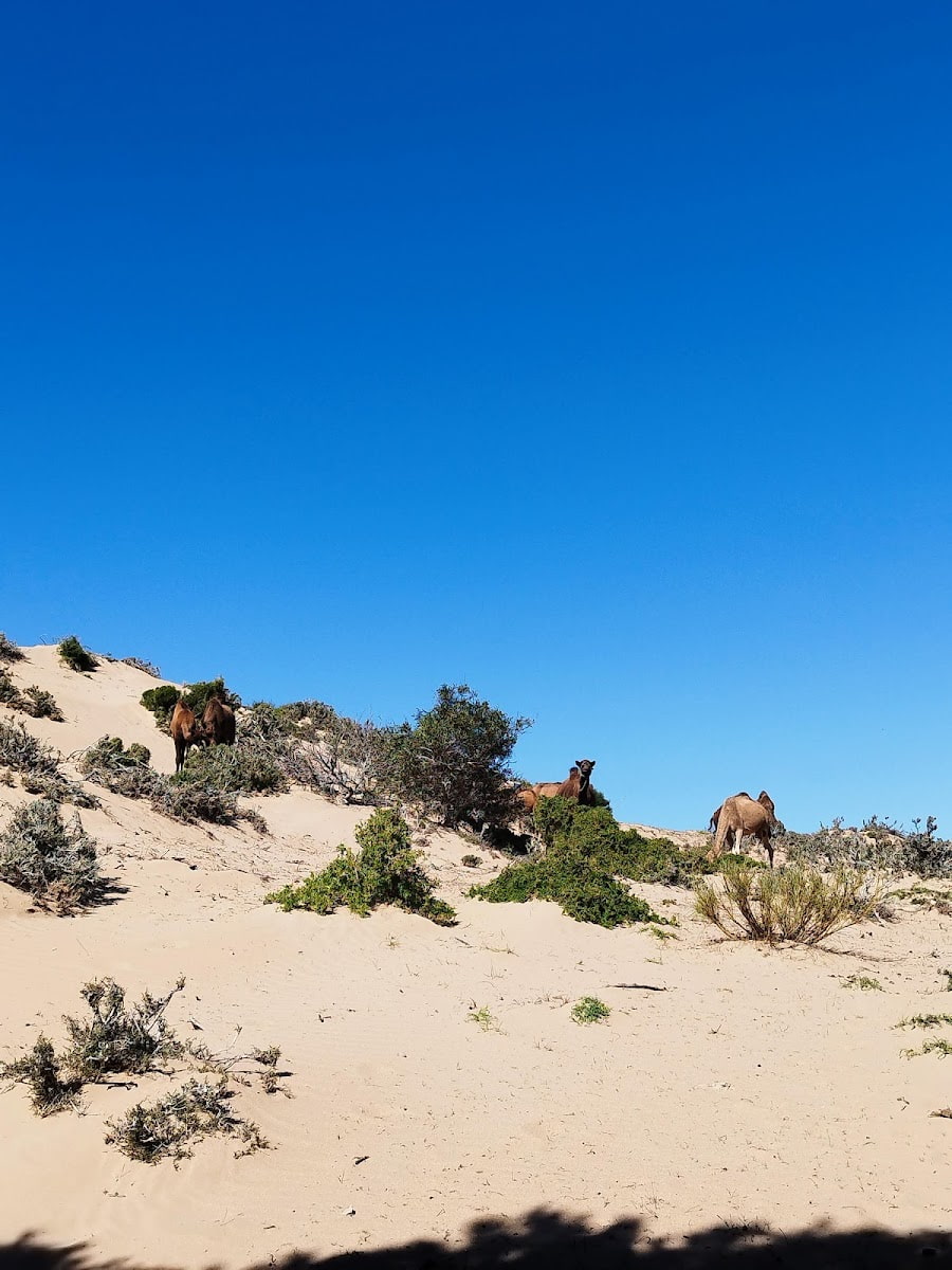 Circuit Pour Balade, Essaouira Circuit Pour Balade, Essaouira