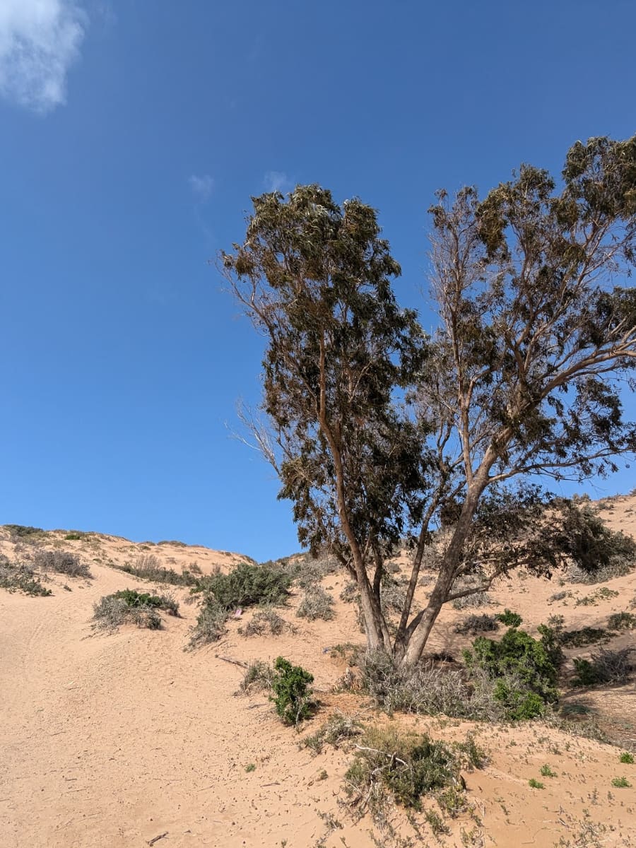 Circuit Pour Balade, Essaouira Circuit Pour Balade, Essaouira