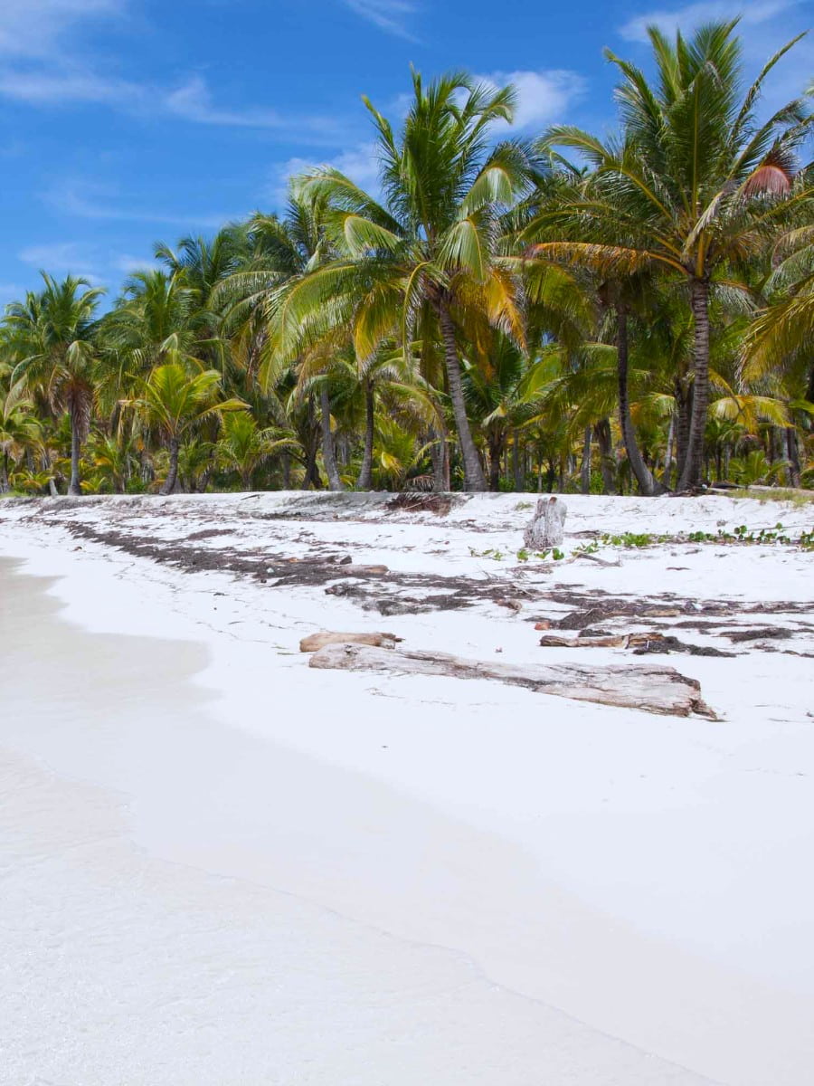 Corazon de Jesus, San Blas Corazon de Jesus, San Blas