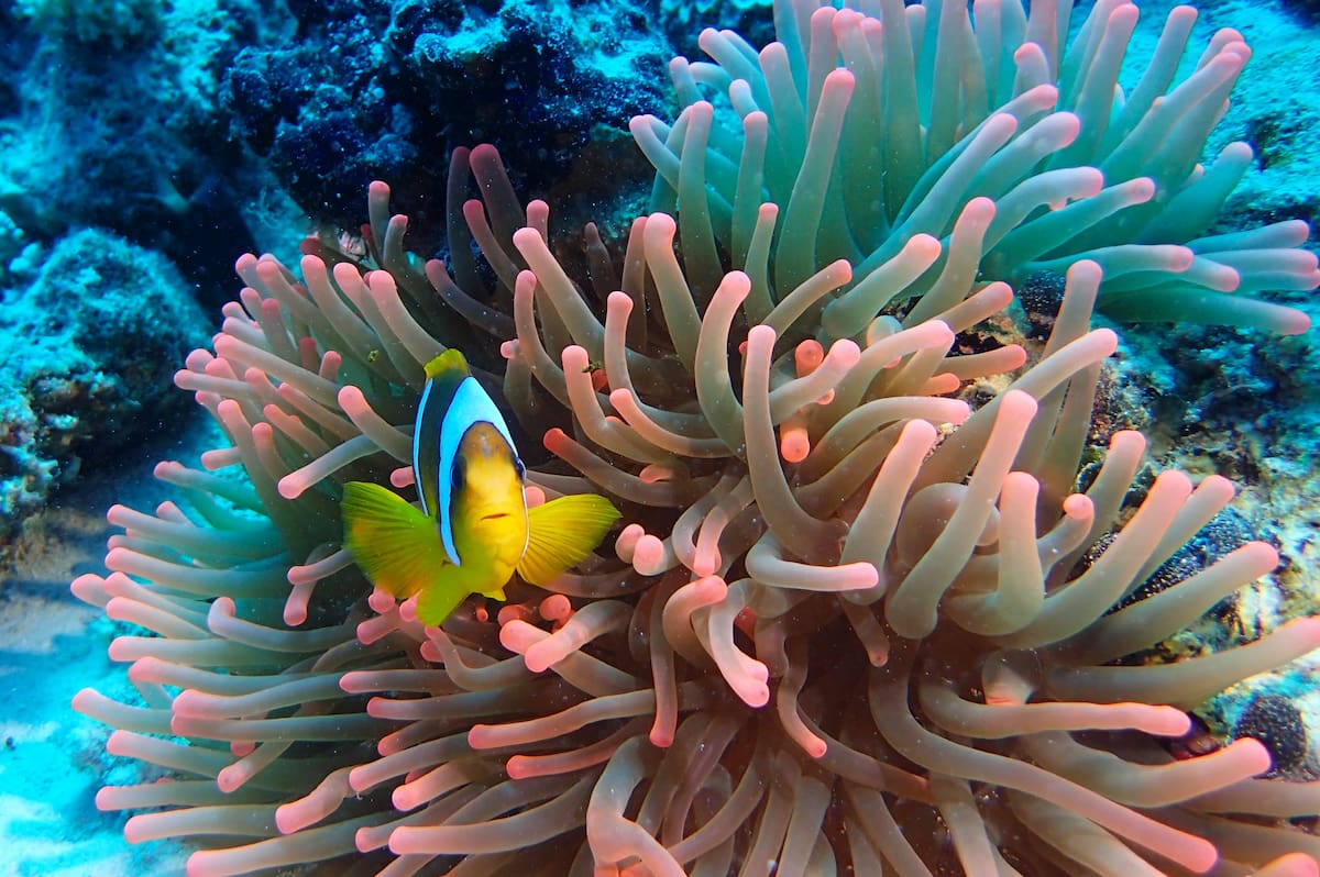 Dive Center, Abu Dabab, Egypt Dive Center, Abu Dabab, Egypt