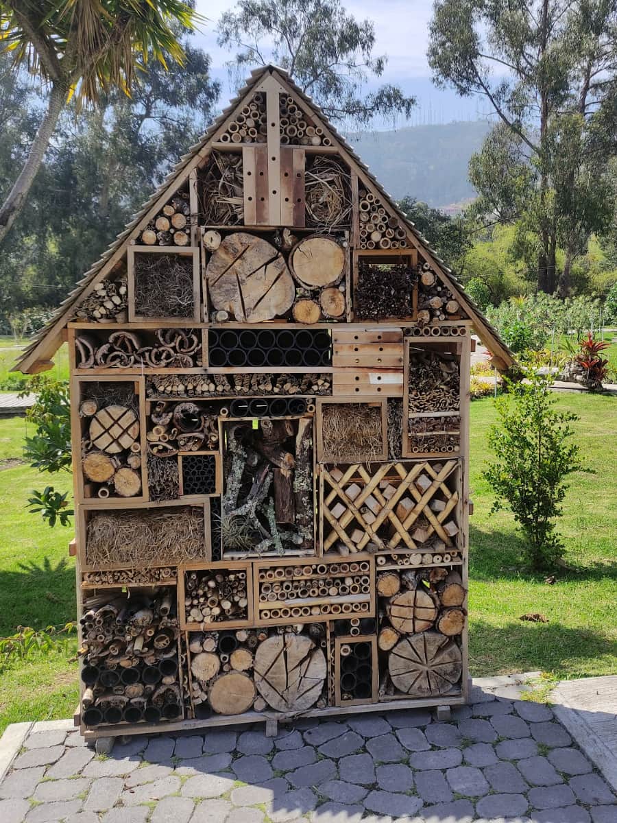 Jardin Botanico de Cuenca, Cuenca, Ecuador Jardin Botanico de Cuenca, Cuenca, Ecuador