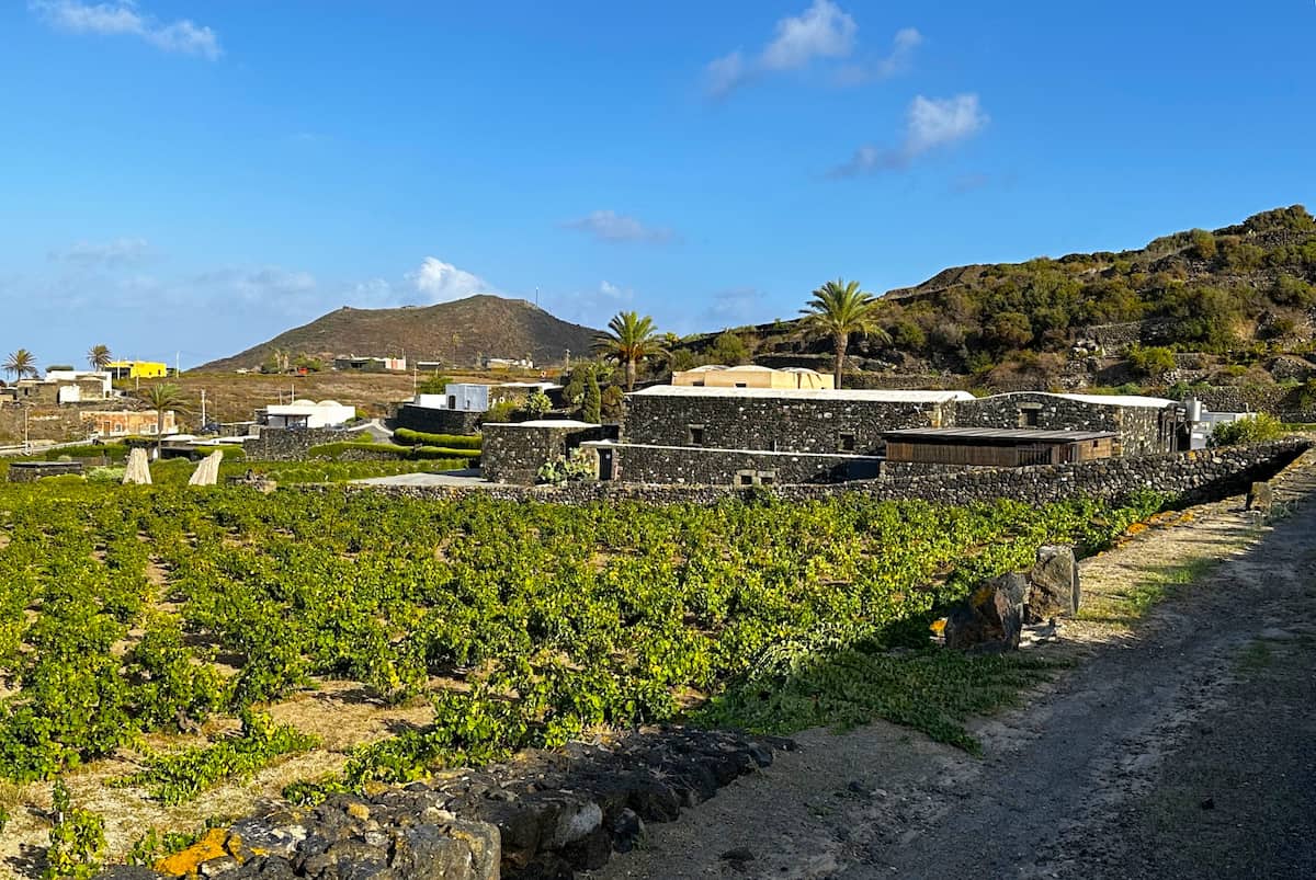 Mursia & Cossyra, Pantelleria