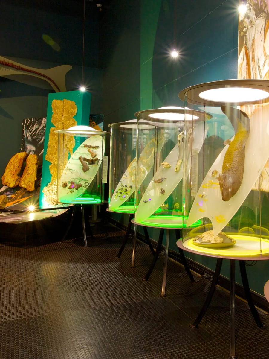 Museum and Art Gallery of the Northern Territory, Australia Museum and Art Gallery of the Northern Territory, Australia