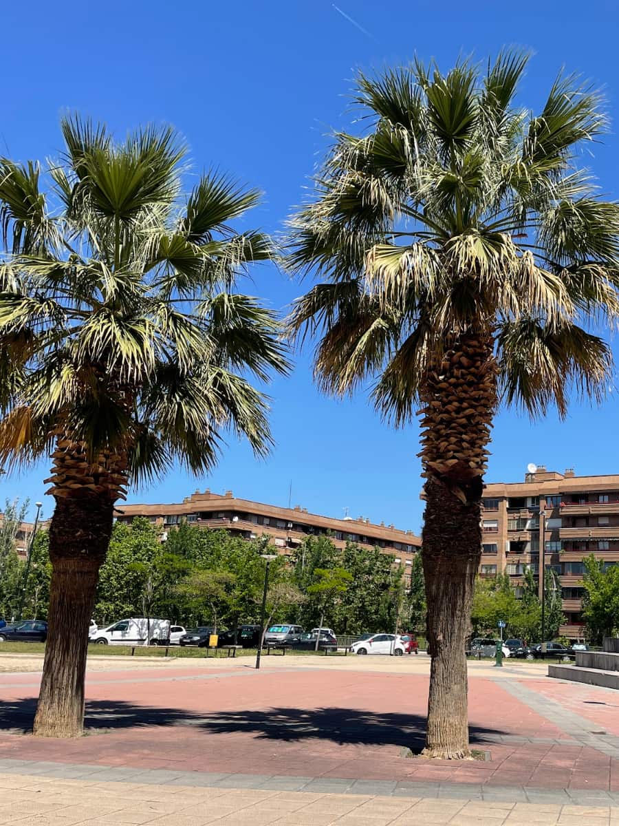 Parque de Emilio Alfaro, Zaragoza Parque de Emilio Alfaro, Zaragoza