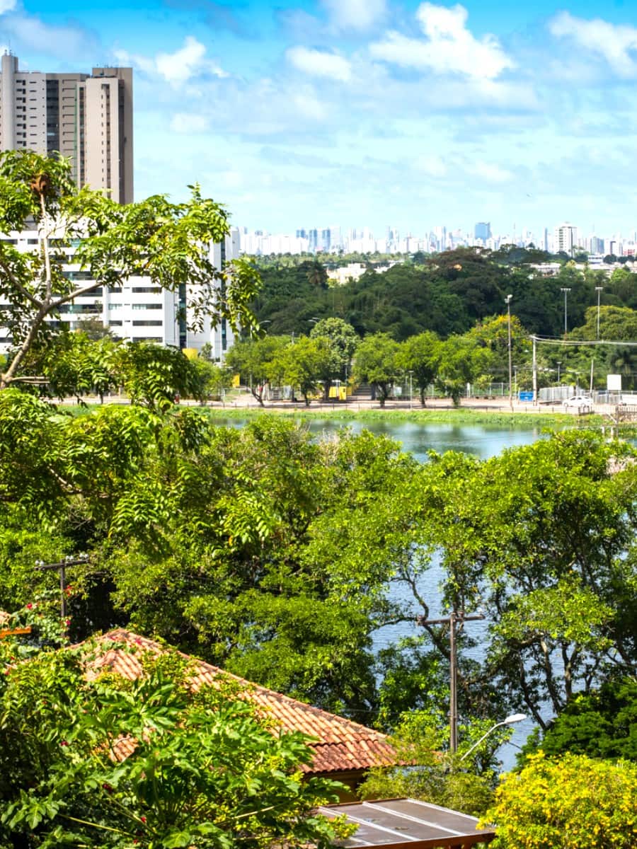 Parque dos Manguezais, Recife Parque dos Manguezais, Recife
