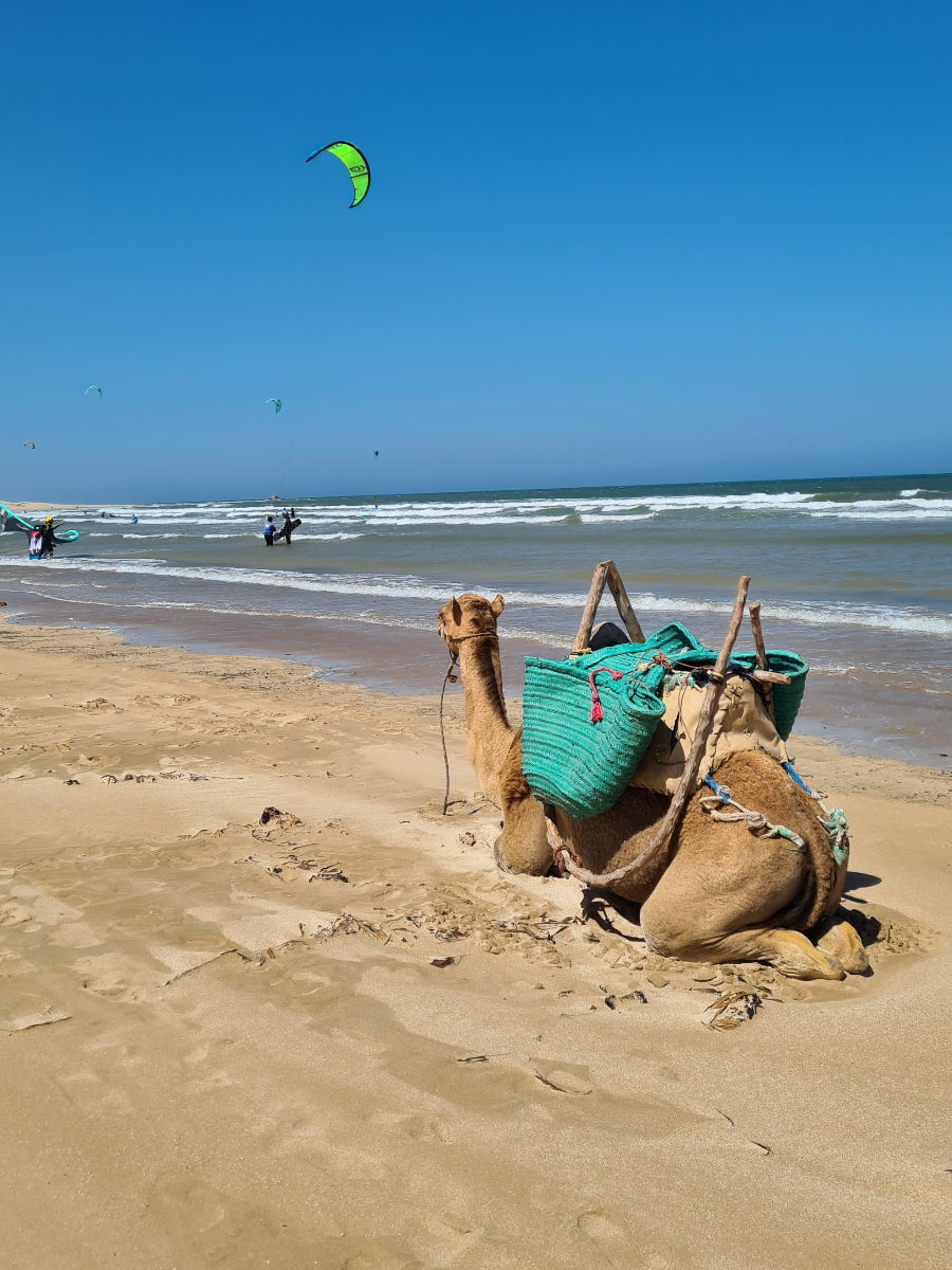 Plage d'Essaouira, Essaouira Plage d'Essaouira, Essaouira