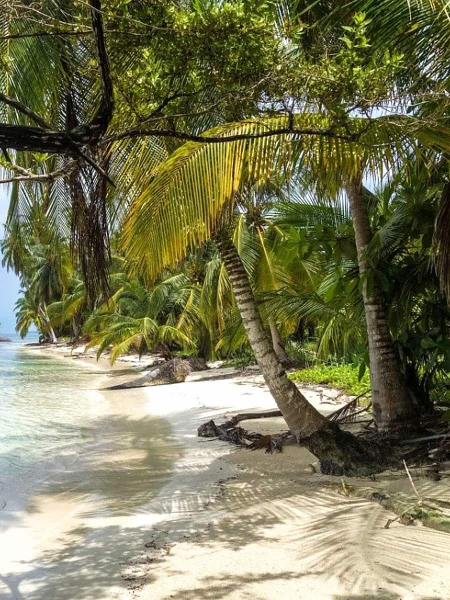 Playon Chico, San Blas Playon Chico, San Blas