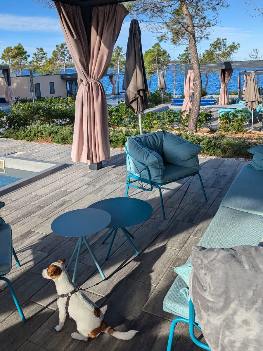 Poluotok Rastavac, Pag Poluotok Rastavac, Pag